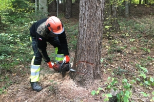 a83862b2cf854ff9f61238ae6a4f83b5